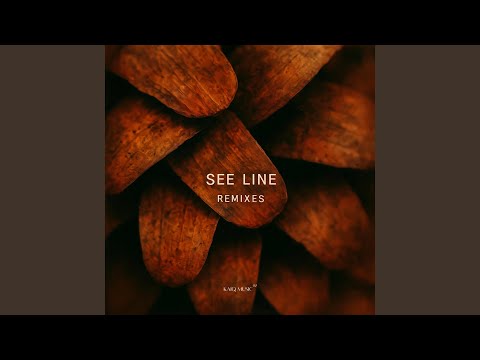 See Line (GruuvElement's Remix)
