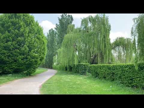 Walking at The Naviglio Della Martesana (Cernusco Sul Naviglio, Milano)