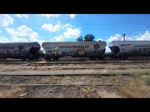 Right view Santana -Arad  din automotor AM DESIRO 2081 ca tren R11306 Brad-Arad