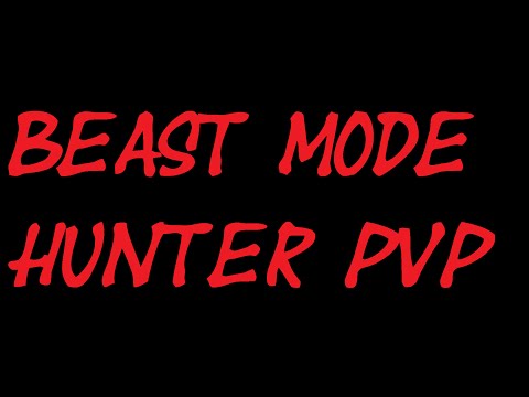 5.4.8 Hunter Pvp Arena 2k+ exp