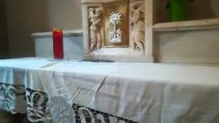 topi-nella-chiesa-di-s-sofia-choc-per-tre-turisti