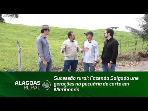 Sucessão rural: Fazenda Salgado une gerações na pecuária de corte em Maribondo