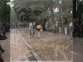 Kung Fu Shaolin Y Wudang Artes Marciales Parque Del Retiro Madrid