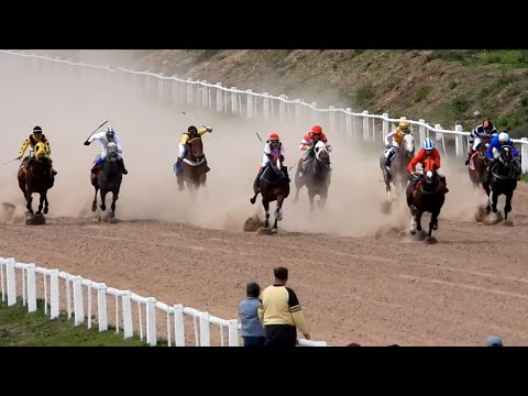 DIFAMADOR - 700mts - Evento Copa Vertigo - Hipodromo de Mercedes - 02/09/2023