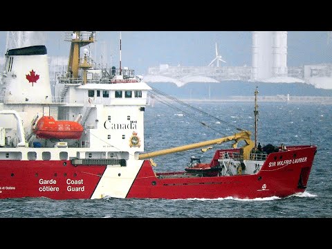 北極の水中: 驚くべき発見は広く広まった誤解を証明する