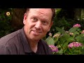 Hovenier Martijn Rekkers geeft tips voor je tuin