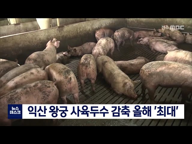 왕궁축사 매입 올해 최대