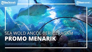 Selama November 2021, Sea World Ancol Beri Promo Bertiga Lebih Hemat Mulai Rp 73 Ribuan per Tiket