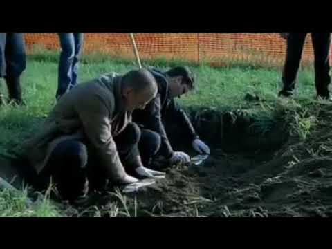 Ris 5 Children scene