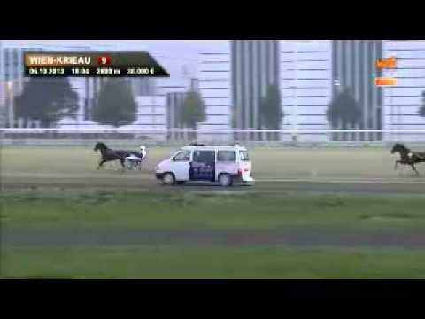 114. Graf Kalman Hunyady 2013 -Freeman T. Porter