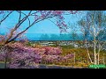 channel