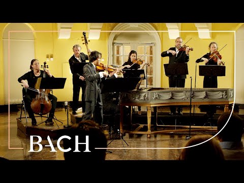 Bach - Violin Concerto in E major BWV 1042 - Sato | Netherlands Bach Society