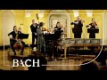 Bach - Violin Concerto in E major BWV 1042 - Sato | Netherlands Bach Society