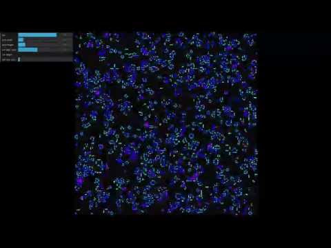 conway's game of life