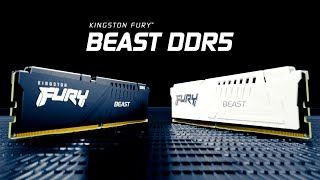 Kingston FURY 32 GB (2x16GB) DDR5 5200 MHz Beast (KF552C36BBEK2-32) - відео 1