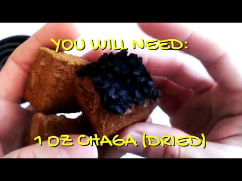 How To Make Chaga Mushroom Tea