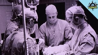 The Fastest Animal on Earth, Pig Heart Transplants, and a Speedy Star Cluster!