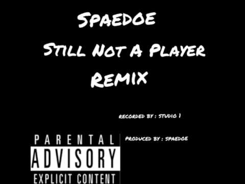 Spaedoe _ Still Not A Player _ (Big Pun) (Remix)
