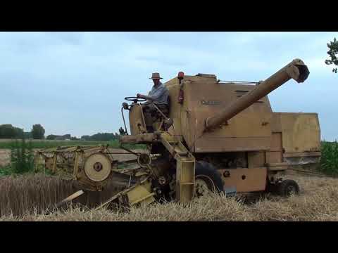 Landb. Ruysschaert - Ophasselt - Clayson M122