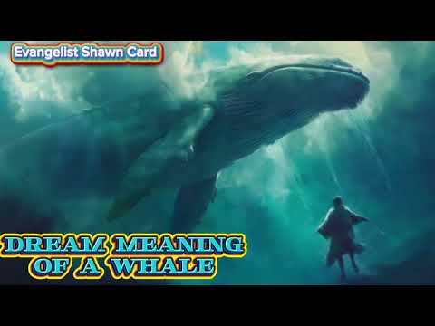 DREAM MEANING; DREAM INTERPRETATION OF A WHALE. 