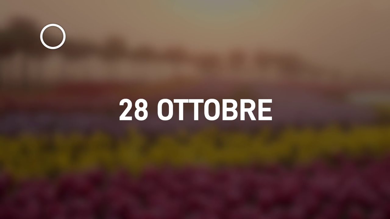 28 Ottobre 2024 | Meditazione Parole di Vita