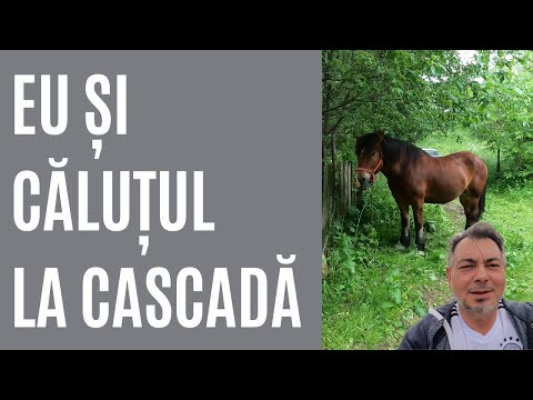 Cascada Săritoarea din județul Buzău!