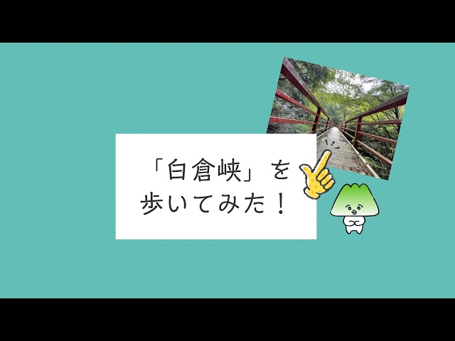 お客さま事例動画：YouTubeサムネイル