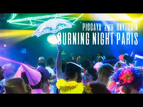 Live @ BURNING NIGHT // Burning Man French Decompression 2018 (Organic Downtempo)