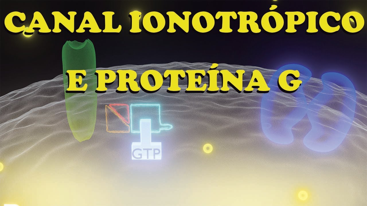 Canais Ionotrópicos e Proteína G