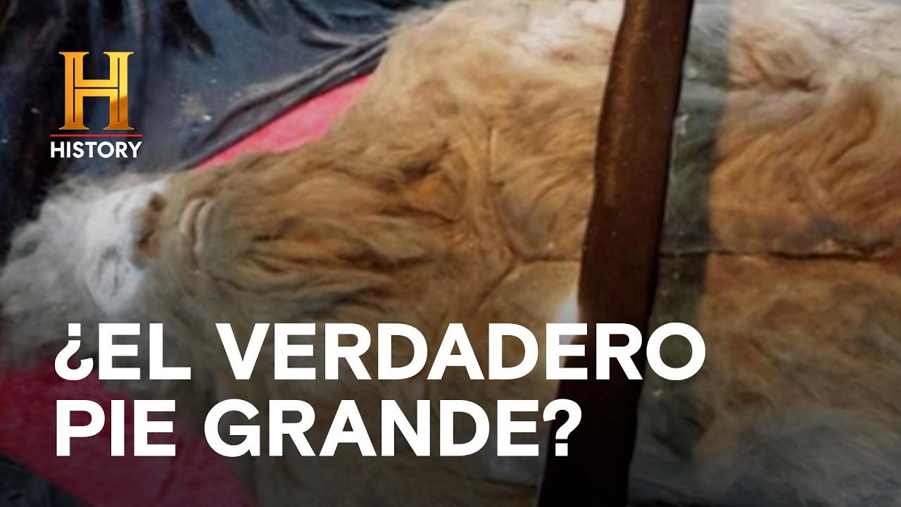 ¿“PIE GRANDE” CAPTURADO Y ASESINADO? - LA EVIDENCIA ESTÁ ENTRE NOSOTROS