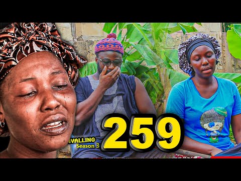 Nyalling Season 3 - Episode 259