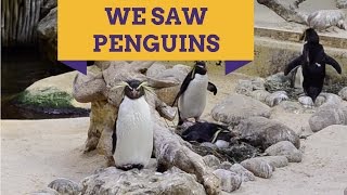 Two Oceans Aquarium | Things To Do in Cape Town
