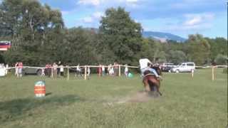 preview picture of video 'Mlake 2012 - Tekma v jahanju med sodi (Horse Barrel Race)'