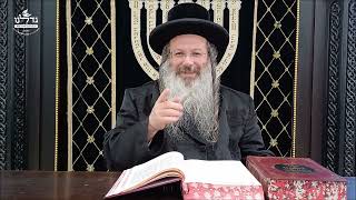 הרה"ג ר' שמעון שנייבלג שליט”א | דבר חינוך אקטואלי מהפרשה | פרשת נשא