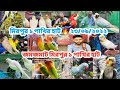 Mirpur 1 pakhir hat 2022 | birds update price in bd | birds unlimited BD |