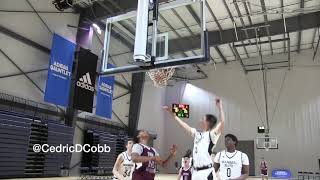 2020 6’5 Nyjier Andrews Team Harden AAU Highlights