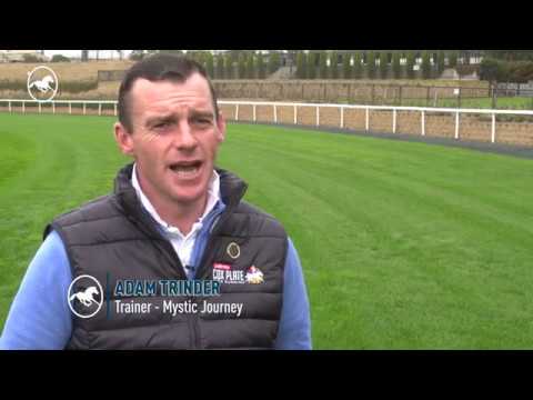 Road to the 2019 Ladbrokes Cox Plate -  Mystic Journey