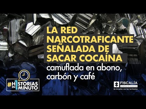 La red narcotraficante señalada de sacar cocaína camuflada en abono, carbón y café