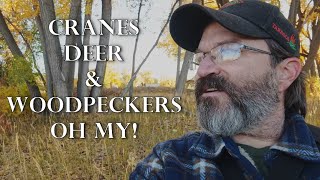 Golden Hour, Golden Leaves, and Golden Experience Photography Adventure