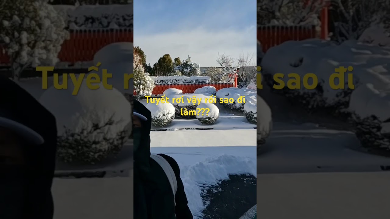 Nhật bản ngày tuyết rơi đầu mùa #shorts #xkldnhatban #tokuteiginou #4mivlogs #japan #thuctapsinh