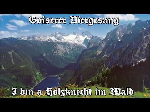 Goiserer Viergesang - I bin a Holzknecht im Wald