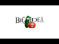 Big Idea Logo Why We Do What We Do