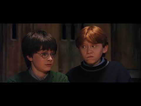 Harry Potter - Hagrid the Professor