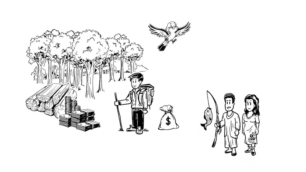 ¿Por qué el manejo de nuestros recursos naturales es importante?