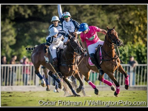 Alegria vs La Dolfina in 124 Hurlingham Open Semifinal
