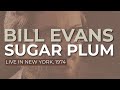 Bill Evans - Sugar Plum - Live in NYC, 1974 (Official Audio)