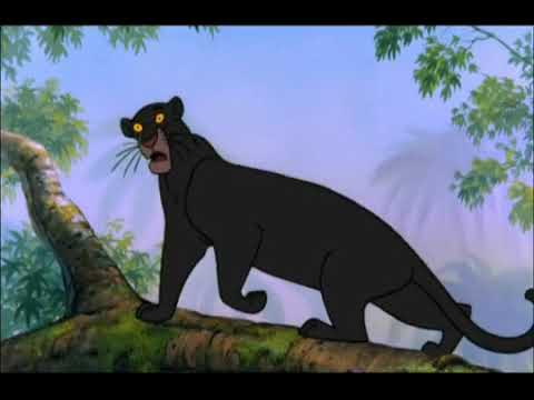 Bagheeraladdin Part 6 - Trouble in the Marketplace/Tai Lung's Evil Plan