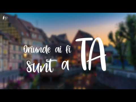 Versuri @NOSFE x Theo@Rose - Căsuța Noastră