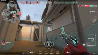 metairie mukemmel aim