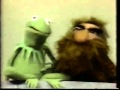Classic Sesame Street Kermit On Hair AKA Frogs Don T Have Hair